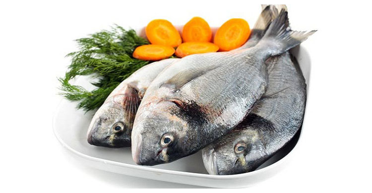 Vitamin D route to fight tuberculosis