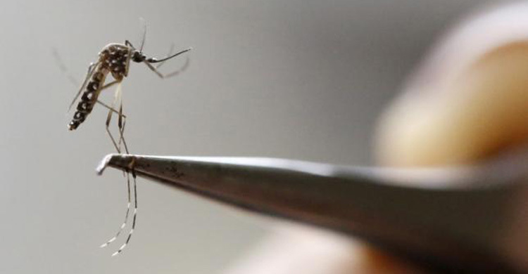 S. Africa confirms first case of Zika virus