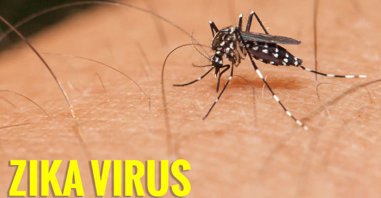 Zika virus detected in Bangladesh: State Minister