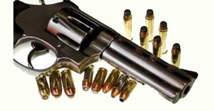 দিনাজপুরে অস্ত্র উদ্ধার