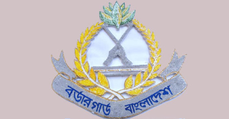 বিজিবির অভিযানে ৯৩ কোটি টাকার চোরাচালান ও মাদকদ্রব্য জব্দ