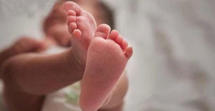 কার্টুনের ভেতর থেকে নবজাতকের মরদেহ উদ্ধার