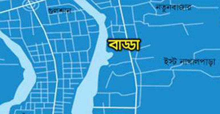 বাড্ডায় পুলিশের ওপর জঙ্গি হামলা : ইন্সপেক্টর আহত