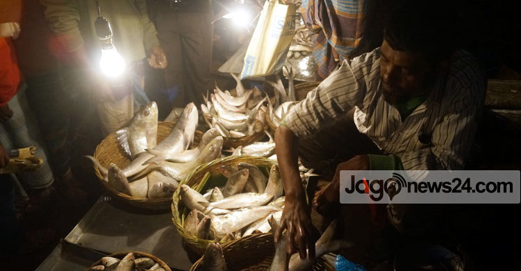 মাইকিং করে জাটকা বিক্রি, নিশ্চুপ প্রশাসন