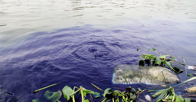 যুবকের তাড়া খেয়ে নদীতে ঝাঁপ অতপর...