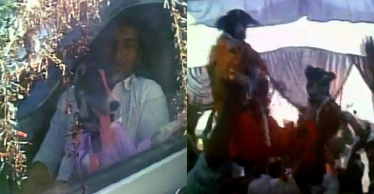 কুকুরের বিয়ের অতিথি ৫ হাজার! (ভিডিও)