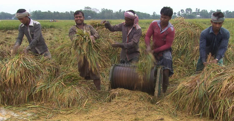 তথ্যচিত্রে ফরাসি নির্মাতার চোখে বাংলাদেশ