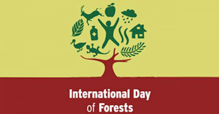 আন্তর্জাতিক বন দিবস সোমবার