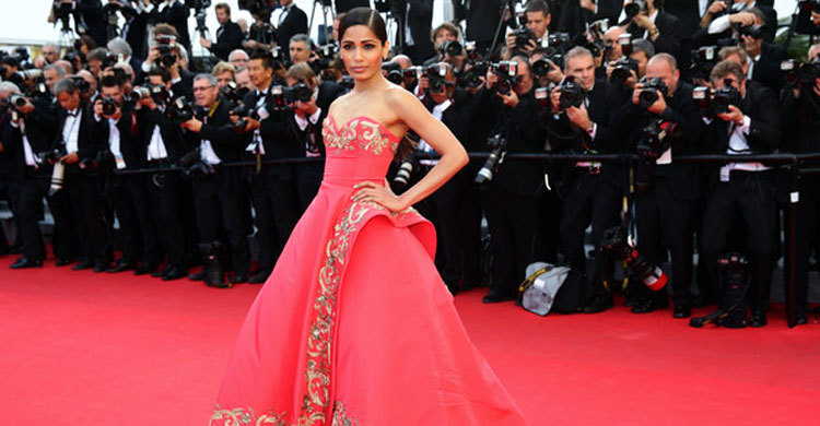 মোগলির মা ফ্রিদা পিন্টো