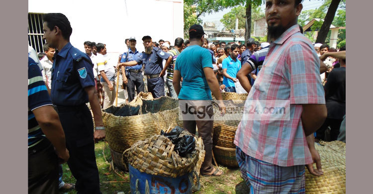 শরীয়তপুরে জাটকা ধরার অপরাধে ৩ জেলেকে কারাদণ্ড
