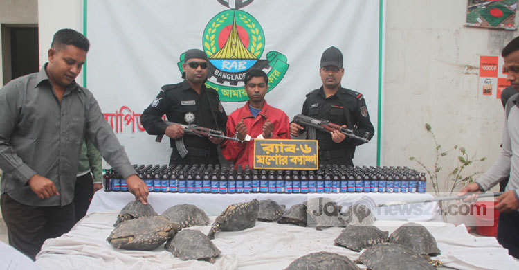 যশোরে ১১৮টি কচ্ছপসহ যুবক আটক