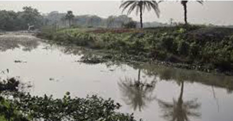 ধানসিঁড়ি এখন মৃতপ্রায়