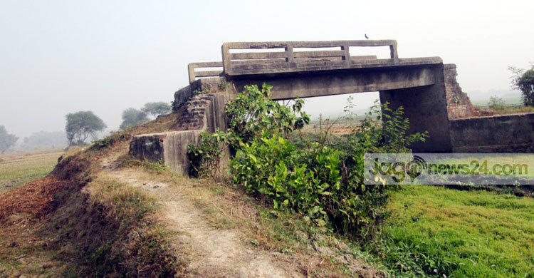 ঝিনাইদহে ফসলি জমিতে ব্রিজ!