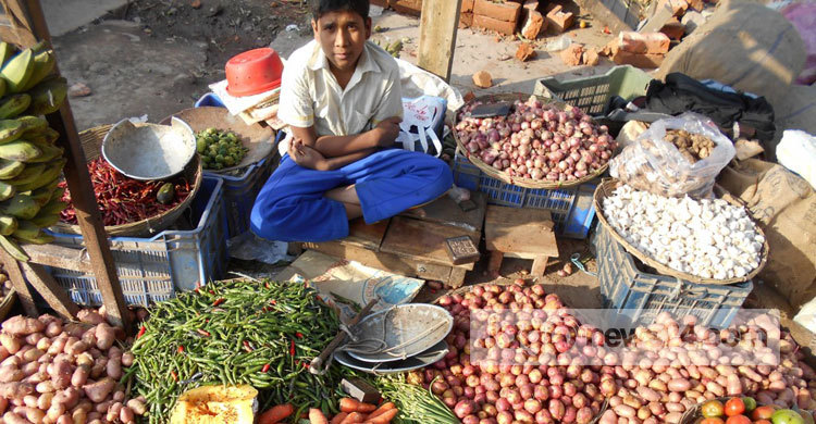 সবজির দাম কমে যাওয়ায় হতাশ কৃষক 