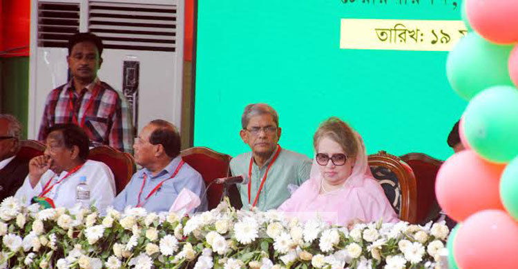 গঠনতন্ত্রে যে পরিবর্তন আনছে বিএনপি