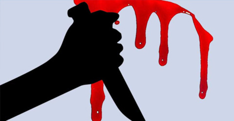 ঘাটাইলে ভাইয়ের হাতে ভাই খুন