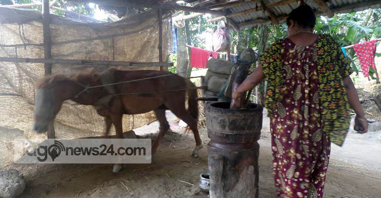 কলুর ঘানিতে সংসার চলছে না তাদের