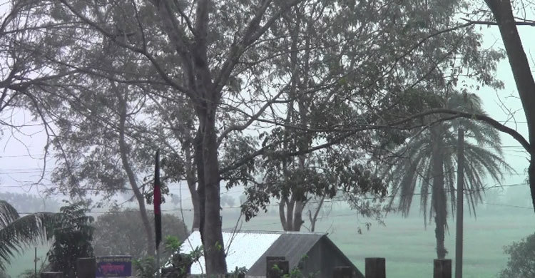 হঠাৎ বৃষ্টিপাতে রবি শস্যের ক্ষতির আশঙ্কা