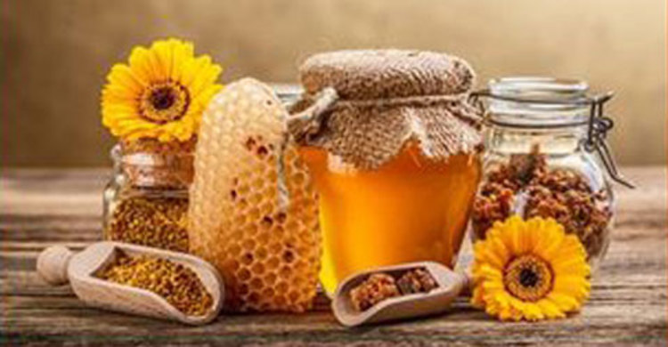 মিলবে পুষ্টি বাড়বে ফলন, আয় বাড়াবে মৌ পালন