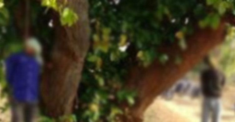 ভারতে দুই মুসলিম গরু ব্যবসায়ীর ঝুলন্ত লাশ উদ্ধার