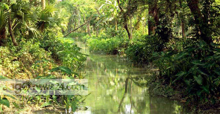 পোনা নদী এখন মরা খাল