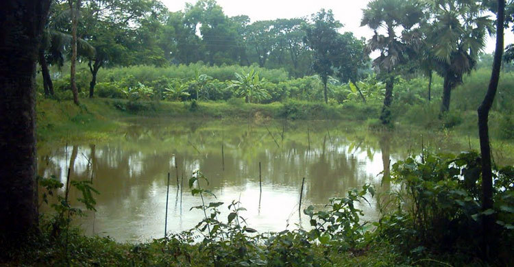 চুয়াডাঙ্গায় পানিতে ডুবে ভাই-বোনের মৃত্যু