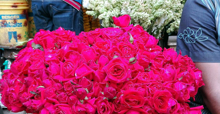 ১০ টাকার গোলাপ ১০০ টাকা