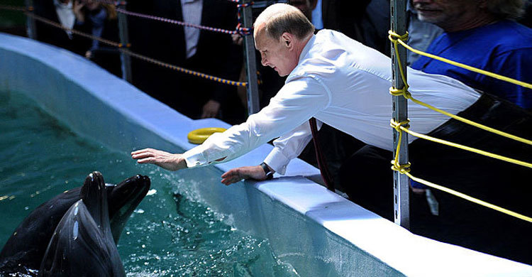 রুশ সেনাবাহিনীতে যুক্ত হচ্ছে পাঁচ ডলফিন