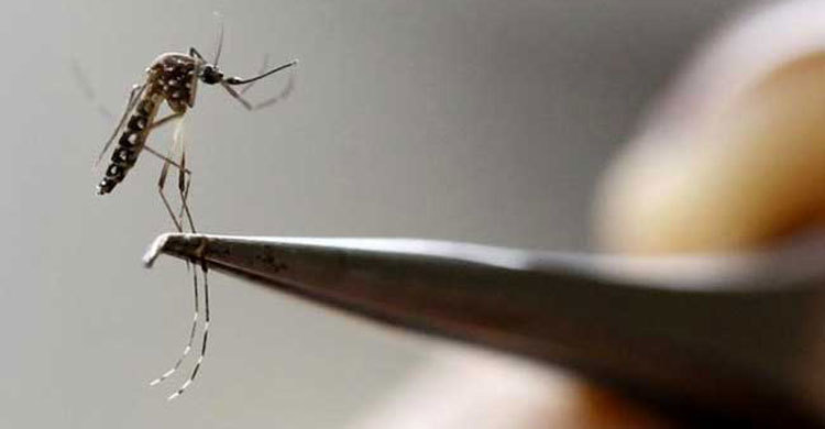 দ. কোরিয়ায় প্রথম জিকা রোগী শনাক্ত