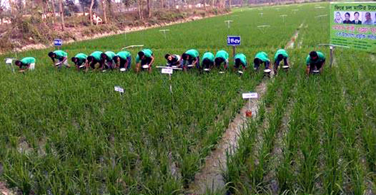 পটিয়ায় শিক্ষার্থীদের নিয়ে কৃষি উদ্বুদ্ধকরণ কর্মশালা
