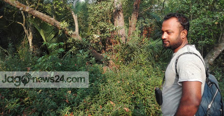 জঙ্গল নদী আর সাগর দর্শনে ছুটিতে সুন্দরবনে তারা