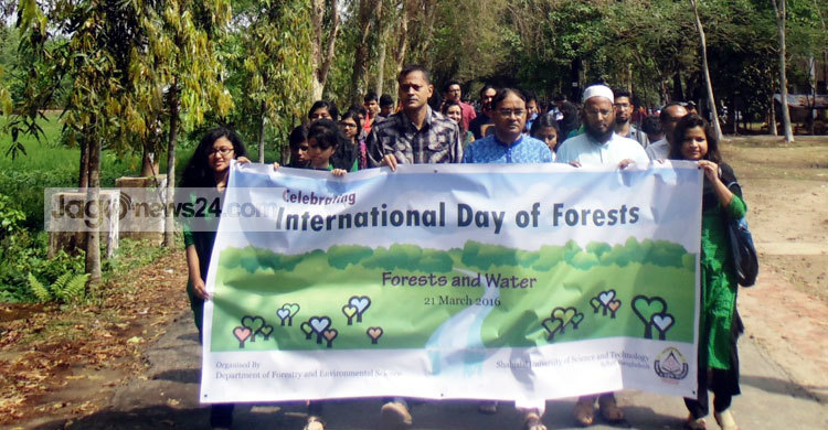 শাবিতে বিশ্ব বন দিবস পালিত