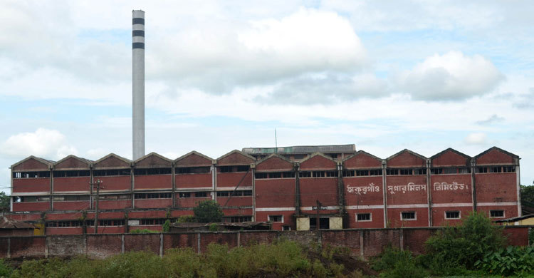 আখ দেখে মুখ ফিরিয়ে নিচ্ছেন চাষিরা