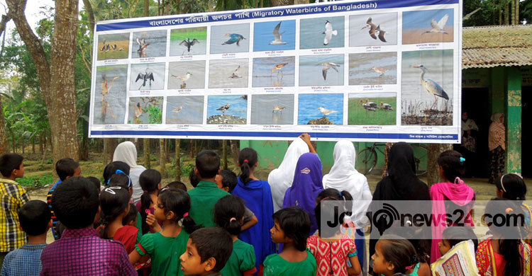 ভোলায় মৌটুপি গ্রামে পাখি মেলা