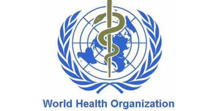 জিকা মাইক্রোসেফালির কারণ কি না জানা যাবে কয়েক সপ্তাহেই