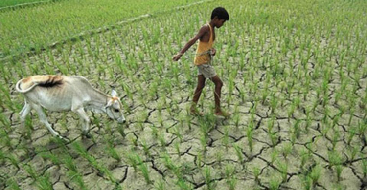 জলবায়ু পরিবর্তন ট্রাস্ট ফান্ডে জমা হয়েছে ৩ হাজার কোটি টাকা