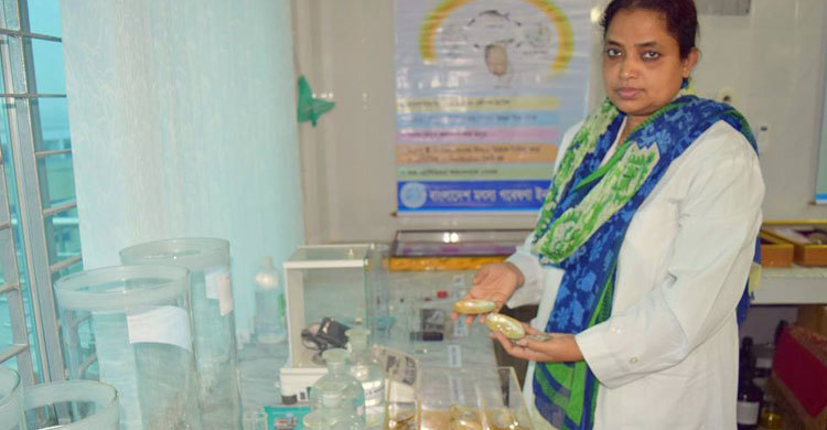 ইমেজ মুক্তা চাষে বিএফআরআইয়ের সফলতা