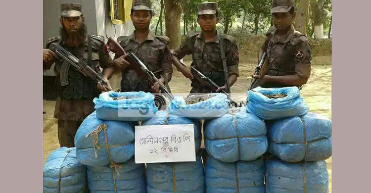 ব্রাহ্মণবাড়িয়ায় ৫৭ কেজি গাঁজা উদ্ধার