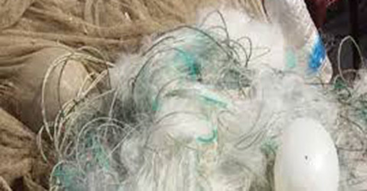 চাঁদপুরে ৩ লাখ মিটার নিষিদ্ধ কারেন্ট জাল জব্দ