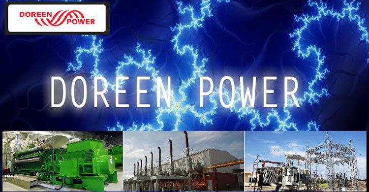 ডরিন পাওয়ারের আইপিও লটারির ফল প্রকাশ