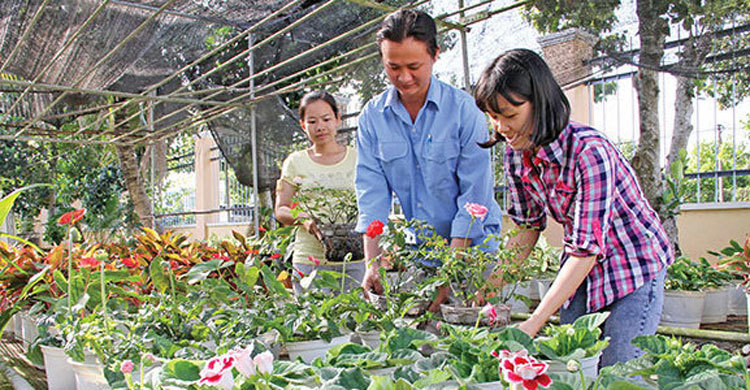 ফুল গাছ লাগাতে ছুটির প্রস্তাব