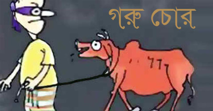 এক রাতে ৯ গরু চুরি