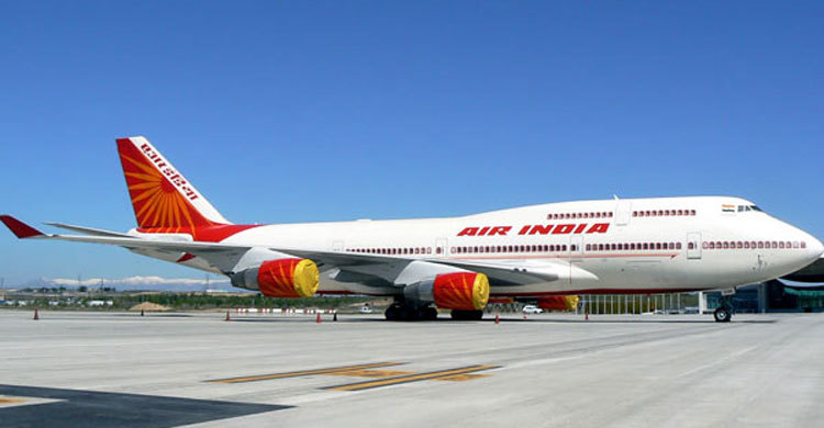 পাখির ধাক্কায় বিমানের জরুরি অবতরণ!