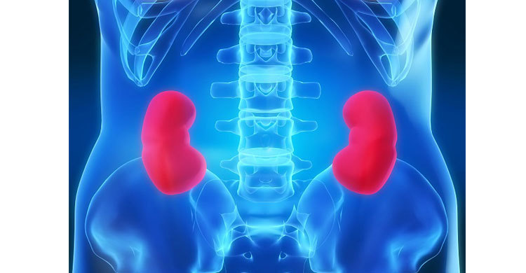 কিডনি রোগ প্রতিরোধে প্রয়োজন স্বাস্থ্যসম্মত জীবনধারা 