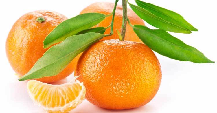 পুষ্টিগুণে ভরা কমলা