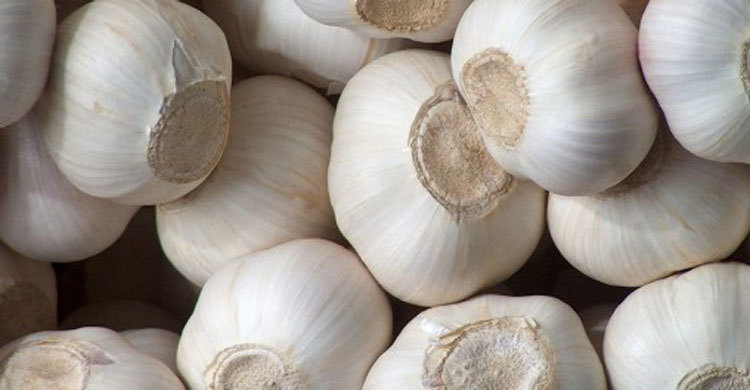 দাম বেড়েছে রসুনের 