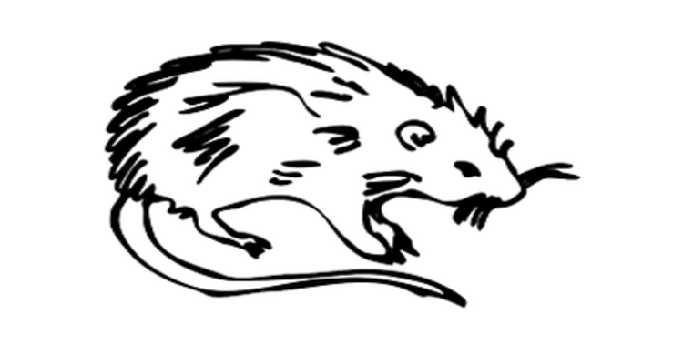 ডালের প্যাকেটে মরা ইঁদুর!