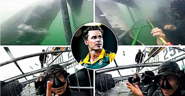 এবার হাঙরের কবলে স্টেইন-ডুপ্লেসিরা