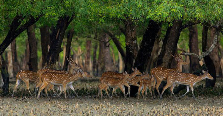 আজকের এই দিনে : ২১ মার্চ ২০১৬