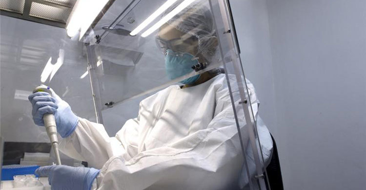 জিকার বিরুদ্ধে লড়তে জরুরি তহবিল চাচ্ছে হোয়াইট হাউজ